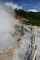 Dieng Plateau 'Kawah Sikidang' 21_10_2010 (110)